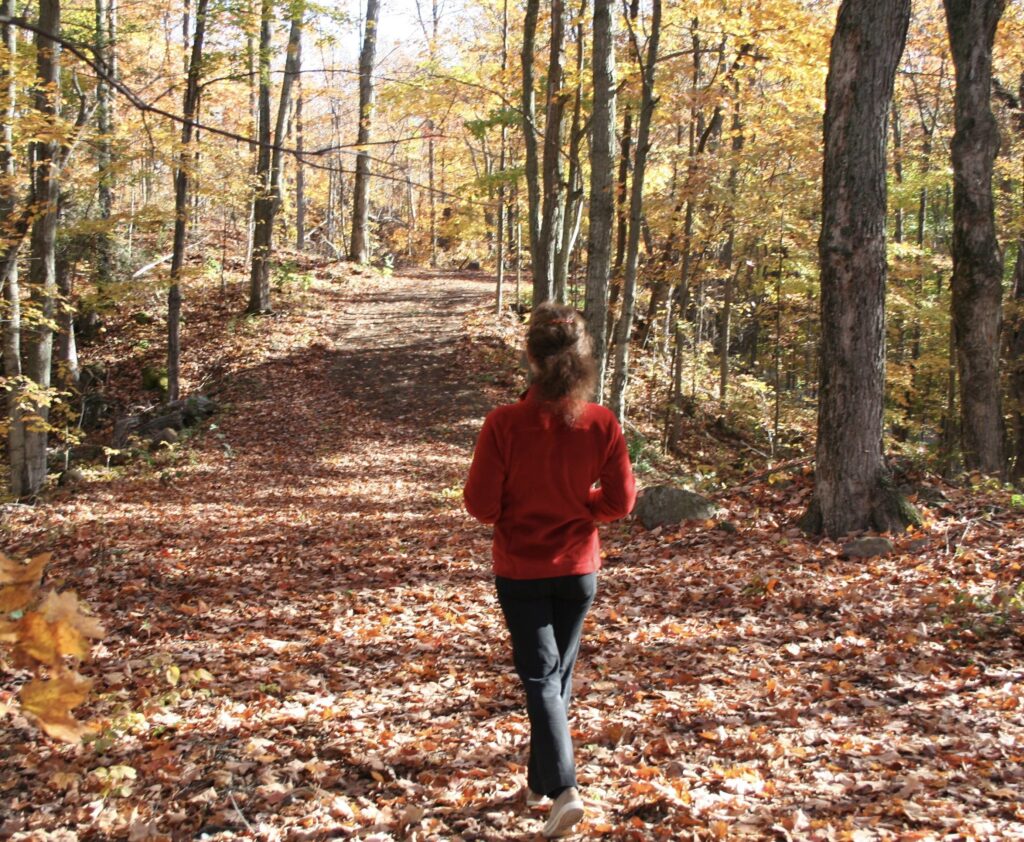wellness travel walk in nature